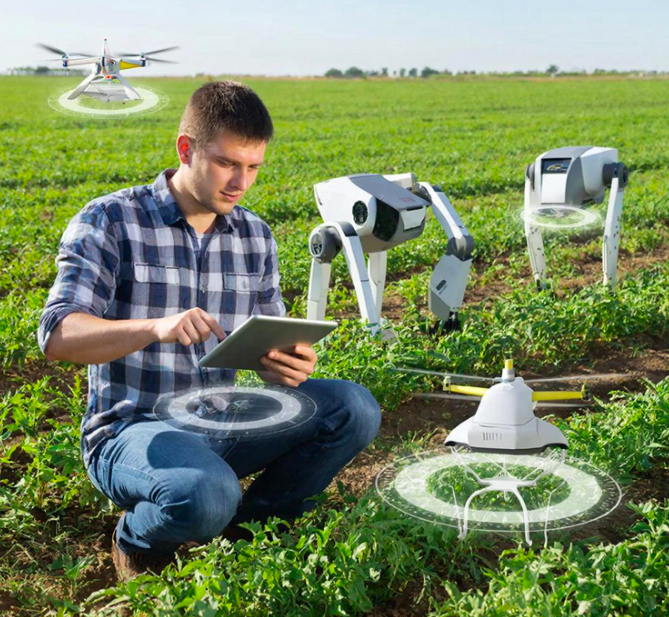 Рис. 1. Цифровизация АПК - современный тренд, направленный на более тщательный и продуманный подход к ведению хозяйства. (Источник: Изображение генерировано ИИ )